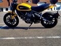2017 Ducati Scrambler 800, жёлтый, 555213 рублей - вид 3
