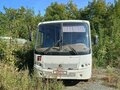 2011 ПАЗ 3204, белый, 1200000 рублей - вид 1