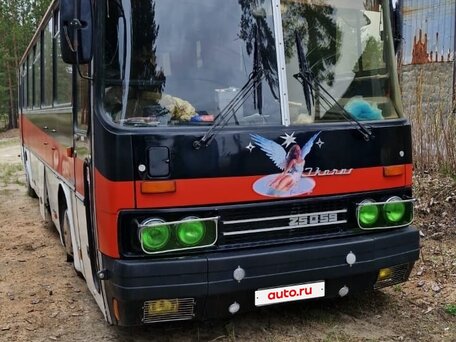 1984 Ikarus 250, красный, 550000 рублей, вид 3