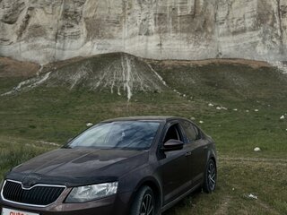 2013 Skoda Octavia III (A7), коричневый, 1800000 рублей, вид 1