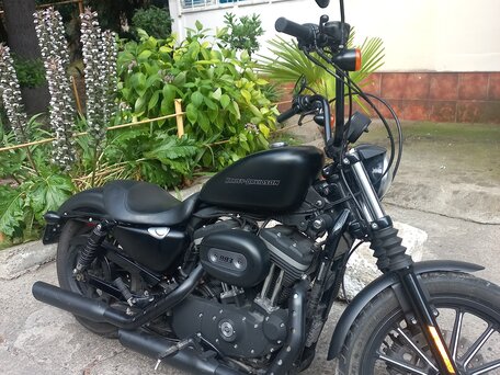 2009 Harley-Davidson Sportster 883, чёрный, 500000 рублей, вид 1
