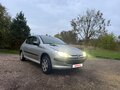 2003 Peugeot 206, серый, 180000 рублей - вид 1