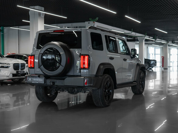2024 Tank 300 I, серый, 3430000 рублей - вид 4