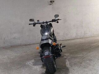 2017 Harley-Davidson Fat Bob, серый, 1114000 рублей, вид 4