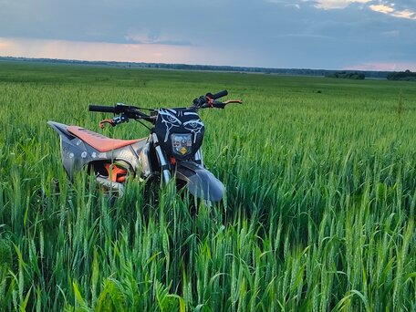 2024 Oxo Pro, чёрный, 65000 рублей, вид 1