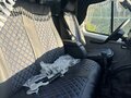 2003 ГАЗ ГАЗель (3302), белый, 750000 рублей - вид 7