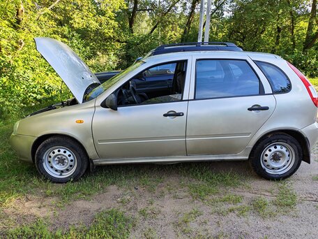 2012 Lada (ВАЗ) Kalina I, бежевый, вид 2