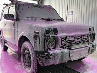2012 Lada (ВАЗ) 2121 (4x4) I Рестайлинг, пурпурный, 445000 рублей, вид 5