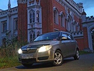 2007 Skoda Fabia II, серый, 224999 рублей, вид 5