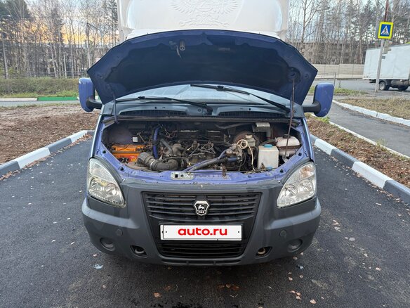 2006 ГАЗ ГАЗель (3302), фиолетовый, 670000 рублей - вид 9