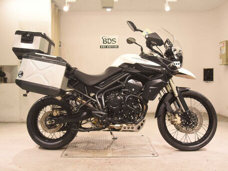 2012 Triumph Tiger 800, белый, 799000 рублей, вид 2