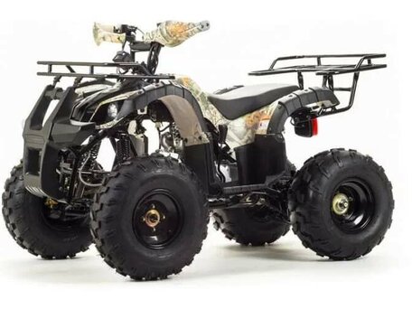 2026 Motoland ATV 150 Fox, бежевый, 145800 рублей, вид 1