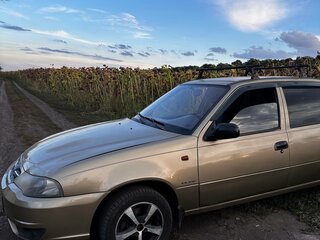 2011 Daewoo Nexia I Рестайлинг, золотистый, 250000 рублей, вид 5