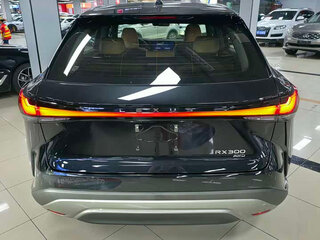 2026 Lexus RX 300 V, чёрный, 7807410 рублей, вид 5