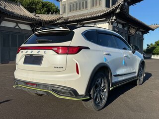 2022 Haval Chitu, белый, 1550000 рублей, вид 5