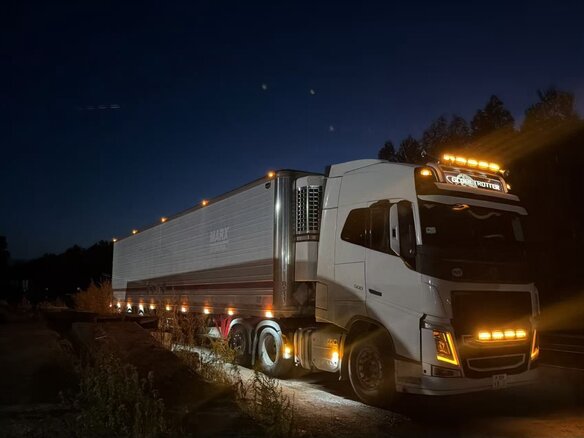 2018 Volvo FH, белый, 12000000 рублей - вид 8