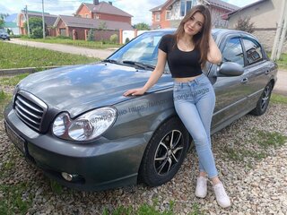 2005 Hyundai Sonata ТагАЗ IV (EF) Рестайлинг, серый, 330000 рублей, вид 1
