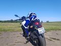 2011 Suzuki SFV 400 Gladius, белый, 435000 рублей - вид 2