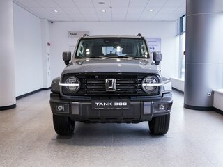 2026 Tank 300 I, серый, 5249000 рублей, вид 5