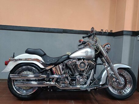 2009 Harley-Davidson Fat Boy, серый, 870000 рублей, вид 4