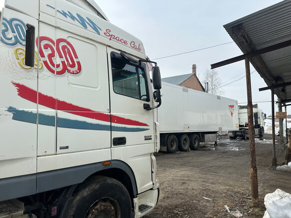 2011 DAF XF 105, белый, 1500000 рублей - вид 6