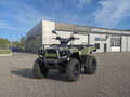 2026 Cectek GLADIATOR, зелёный, 530500 рублей