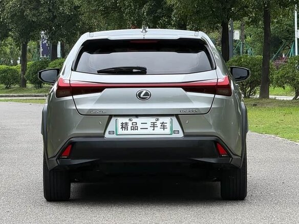 2020 Lexus UX 300e I, серебристый, 1567202 рублей - вид 8