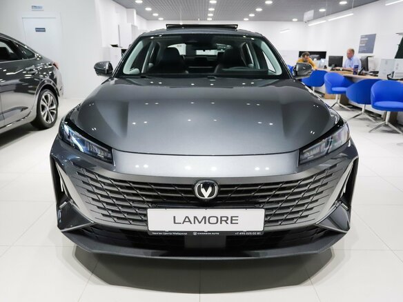 2024 Changan Lamore, серый - вид 6