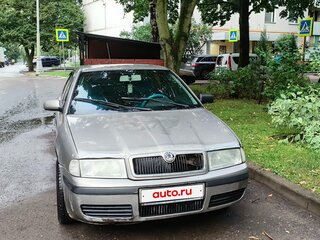 2007 Skoda Octavia I (A4) Рестайлинг, серый, 175000 рублей, вид 1