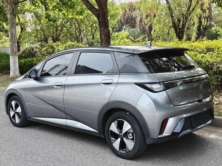 2025 BYD Dolphin 44.9 kWh I, серый, 1660000 рублей, вид 5
