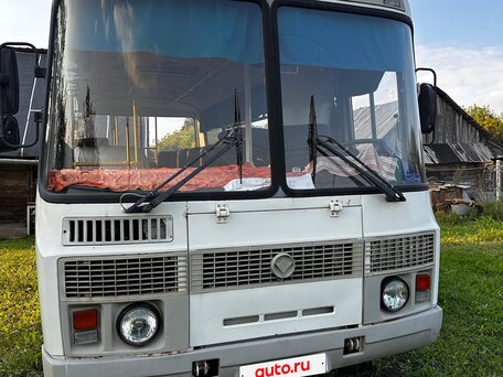 2010 ПАЗ 3205, белый, 255000 рублей, вид 2
