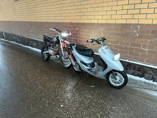 Wels CRF 250