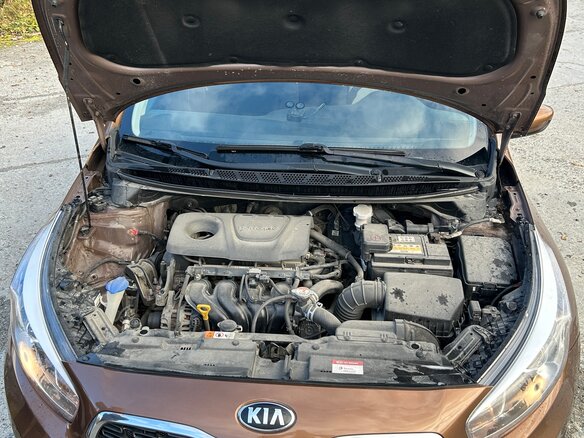 2017 Kia Ceed II Рестайлинг, коричневый, 1050000 рублей - вид 7