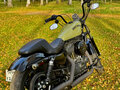 2019 Harley-Davidson Sportster 1200, чёрный, 1099000 рублей - вид 2
