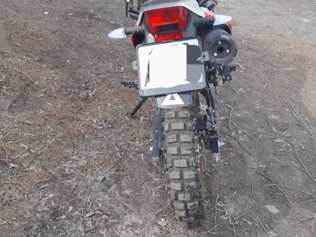 2024 Racer Panther, красный, 155000 рублей, вид 4