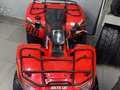 2011 Arctic Cat 650 Series, красный - вид 2