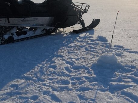2008 Arctic Cat Bearcat, чёрный, 470000 рублей, вид 2
