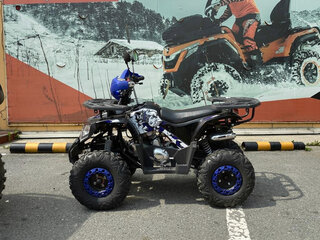 2026 Другие Мотовездеходы (другие), синий, 91200 рублей, вид 3