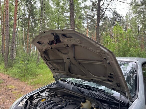 2004 Renault Symbol I Рестайлинг, синий - вид 12