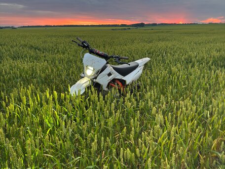 2024 Kayo Basic TT140EM, белый, 66000 рублей, вид 1