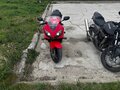 2006 Honda CBR 600F, красный, 600000 рублей - вид 2