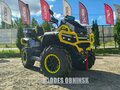 2026 AODES (Odes) Pathcross 1000 Mud Pro, жёлтый, 1527000 рублей - вид 2