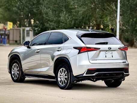 2020 Lexus NX 200 I Рестайлинг, серый, 2550000 рублей, вид 4