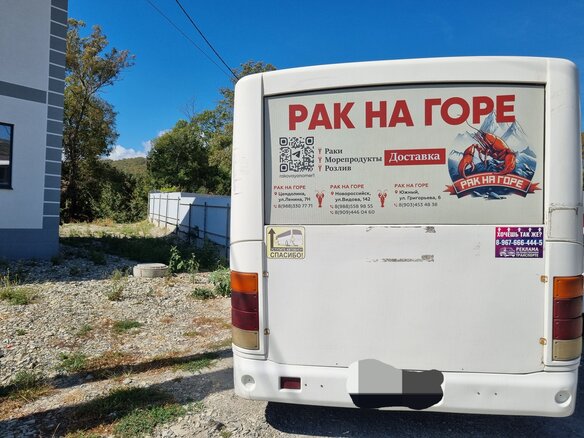 2012 ПАЗ 3204, белый, 450000 рублей - вид 5