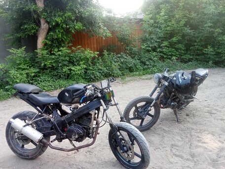 2009 ABM GX 250, чёрный, 70000 рублей, вид 5