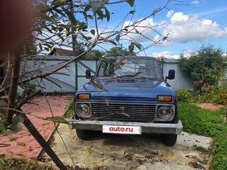 2006 Lada (ВАЗ) 2131 (4x4) I, синий, 230000 рублей, вид 1