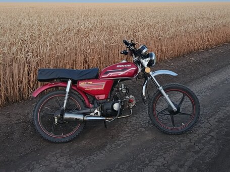 2018 Orion AGB-21, красный, 37000 рублей, вид 4