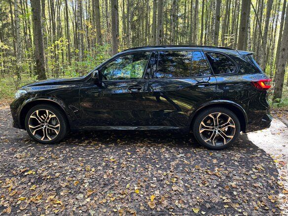 2019 BMW X5 50i IV (G05/G18), чёрный, 5390000 рублей - вид 8