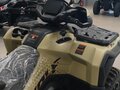 2026 Loncin XWolf 1000, бежевый, 1164000 рублей - вид 5