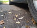 2010 Ford Focus II Рестайлинг, синий, 650000 рублей - вид 2